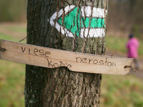 Uklízeli jsme Lednici v rámci akce Ukliďme Česko