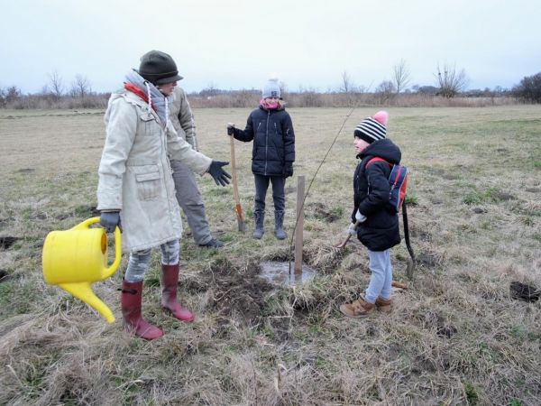 Vysadili jsme 50 Ladovských vrb