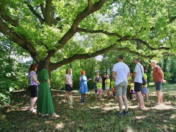 Přihlásili jsme lednického zástupce do soutěže o strom roku