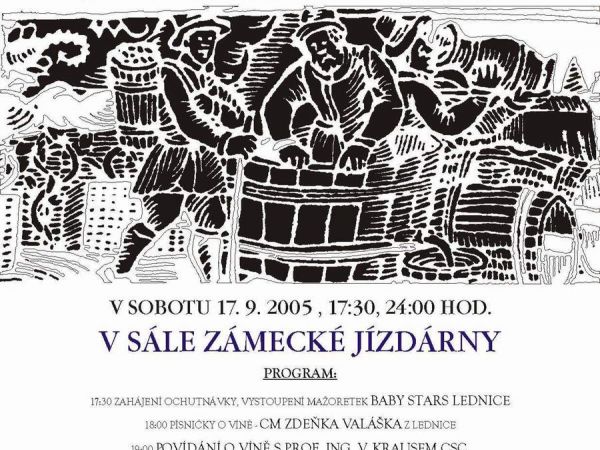 Kulturní aktivity spolku