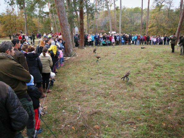 XI. Svatohubertská mše