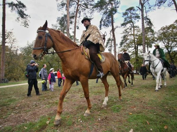 XI. Svatohubertská mše